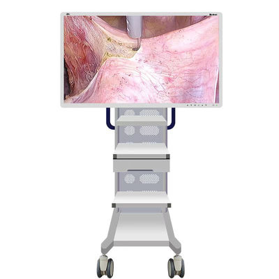 Caméra médicale de moniteur d'Endoscope avec l'écran 55inch