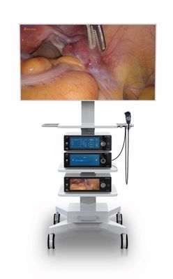 Caméra médicale de l'endoscopie 4k d'opération de laparoscopie avec l'affichage touché 10,2 par pouces