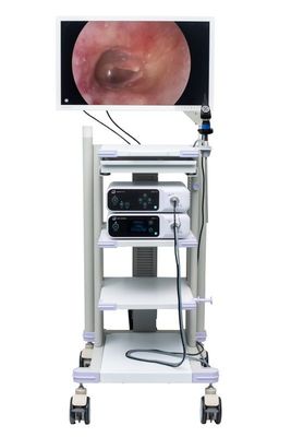 Écran de visualisation chirurgical pour la caméra d'Endoscope moniteur médical d'endoscopie de 27 pouces