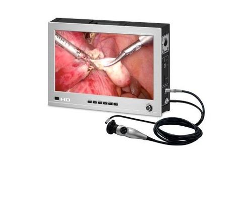 Tous dans un système vétérinaire 1000TVL d'image d'Endoscope