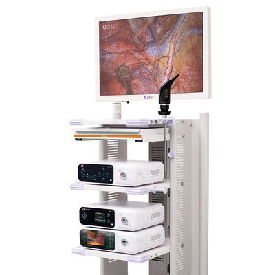 Ultra tour DJSXJ-IIb de système de caméra de l'Endoscope 4K