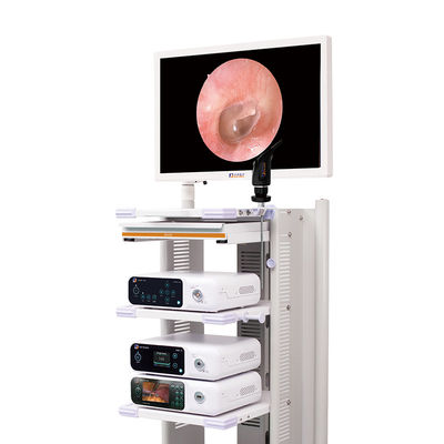 Pleine caméra Laparoscopic médicale du système 4k de caméra d'Endoscope de HD
