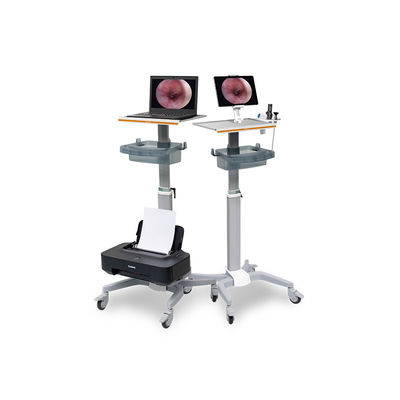 Tour sans fil médicale DJSXJ-Ib de système de caméra d'Endoscope de Wifi