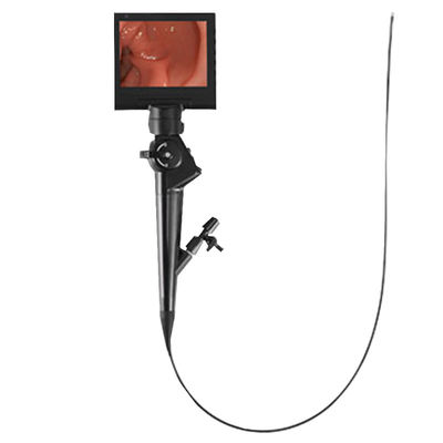Endoscope flexible et rigide DJV60900 de Videoscope portatif vétérinaire
