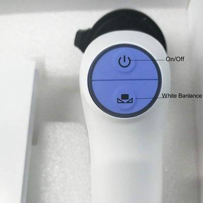 Système endoscopique de caméra de Wifi de radio en temps réel vétérinaire de transfert portatif