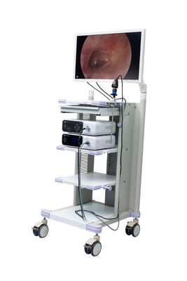 Pleine caméra médicale d'Endoscope de HD pour l'Arthroscopy OTO-RHINO chirurgical de Hysteroscopy de gynécologie de laparoscopie